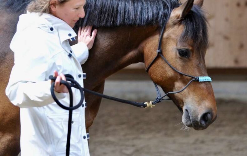 coaching con caballos para equipos barcelona
