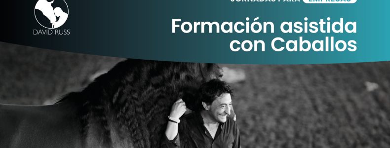 jornadas para empresas formacion asistica con caballos david russ
