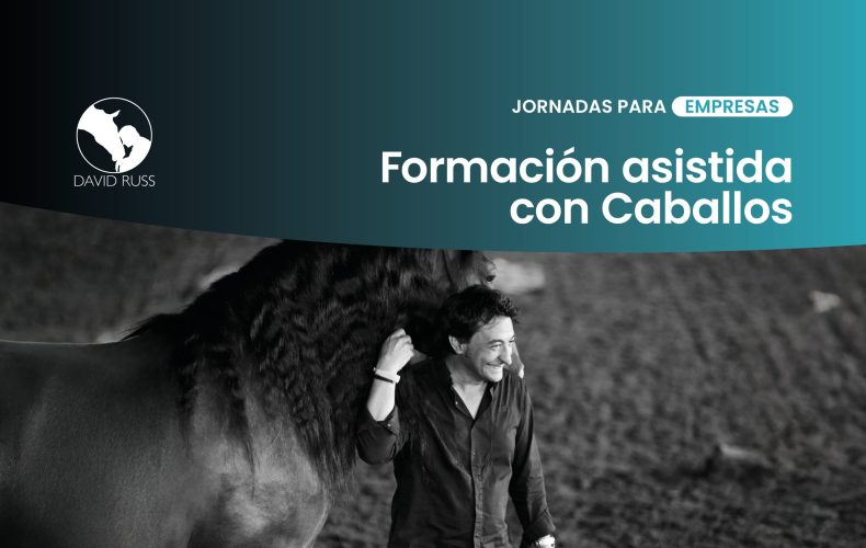 jornadas para empresas formacion asistica con caballos david russ